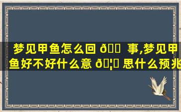 梦见甲鱼怎么回 🐠 事,梦见甲鱼好不好什么意 🦈 思什么预兆